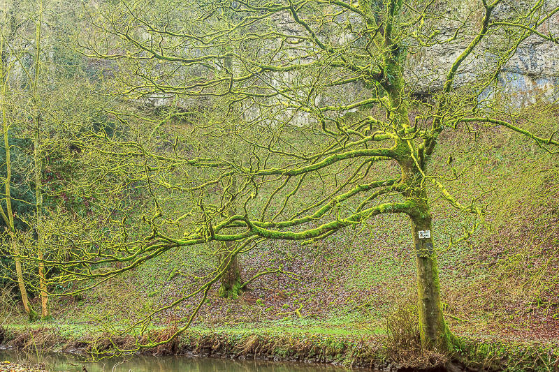 Beresford Dale Beresford Dale